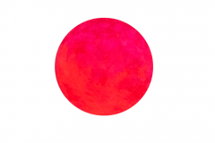 40-planet-pink-1-mcvonliebe-on-white